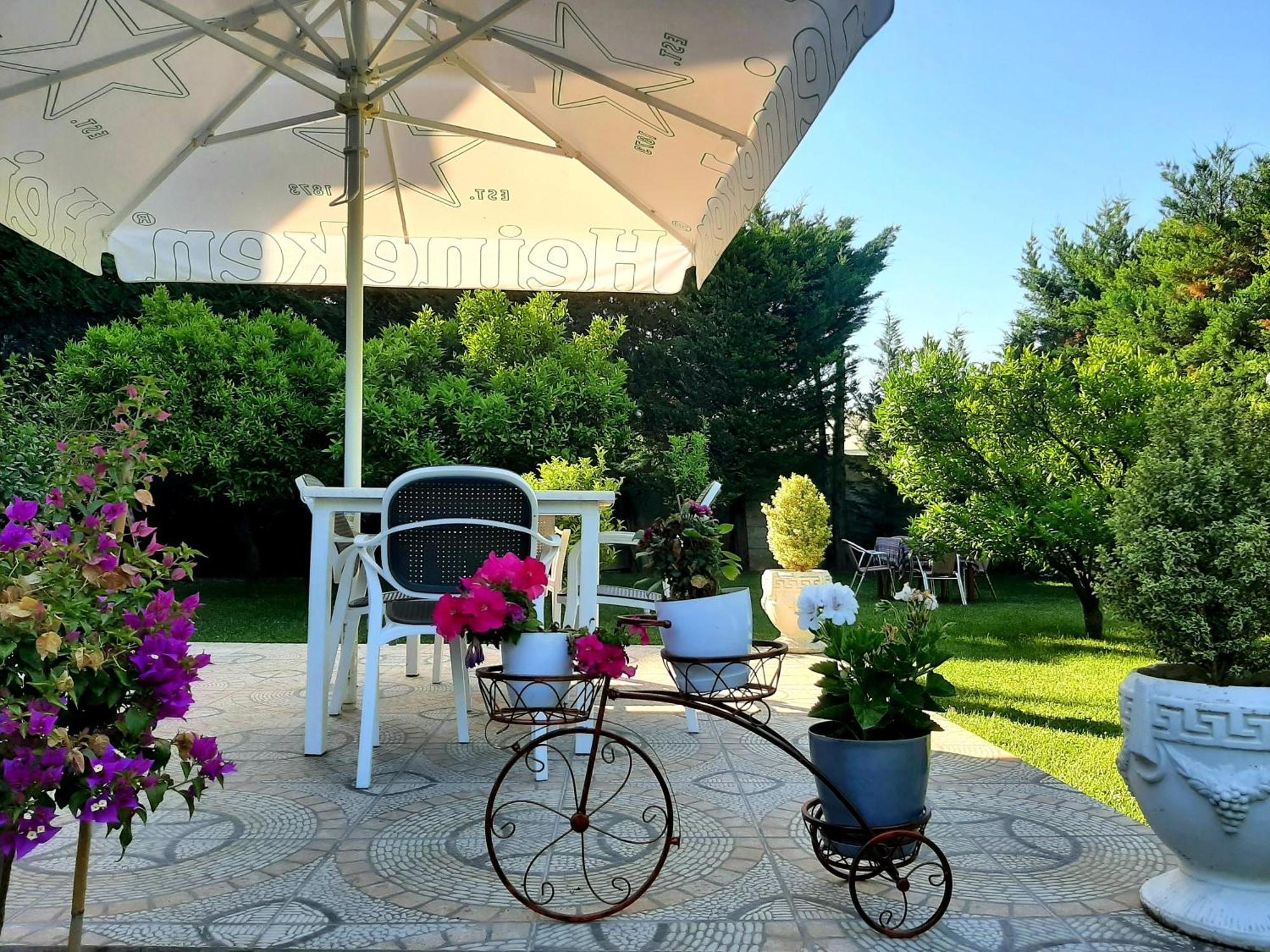 Hotel Vila Arbri 베라트 외부 사진